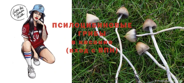 ПСИЛОЦИБИНОВЫЕ ГРИБЫ Карпинск
