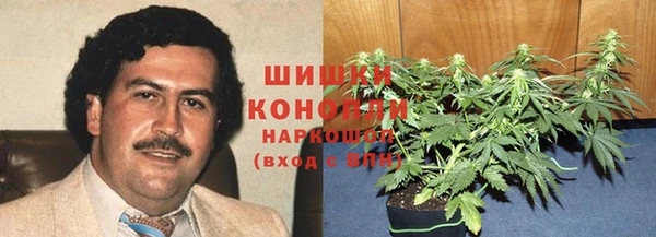 ПСИЛОЦИБИНОВЫЕ ГРИБЫ Карпинск